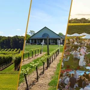 3 Hamptons Wineries to Visit for Spring 2024